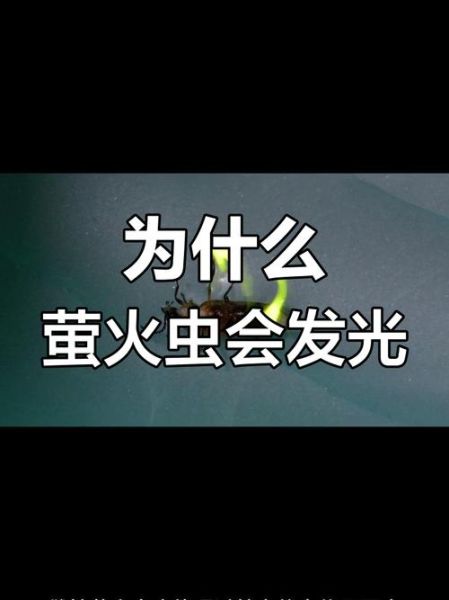 什么昆虫会发光_萤火虫为什么会发光
