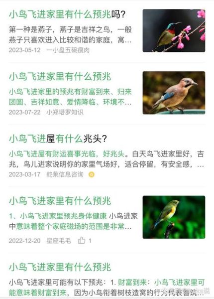 鸟儿飞进房间怎么办_鸟儿飞进房间预示什么