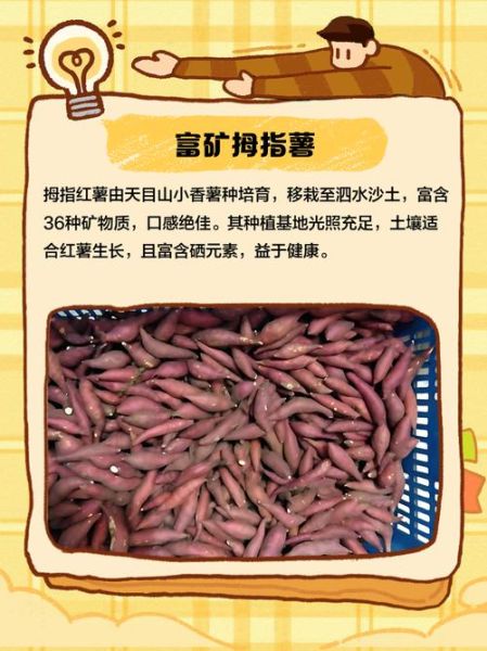 夸红薯的词语有哪些_如何形容红薯香甜软糯