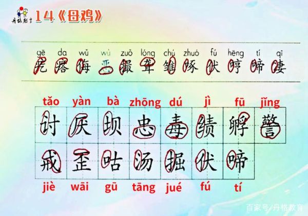 母鸡怎么带小鸡_母鸡带小鸡的词语有哪些