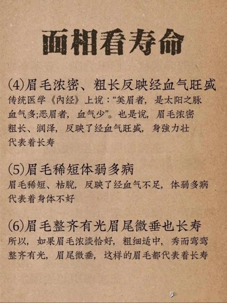 眉毛形容词有哪些_眉毛形状怎么形容