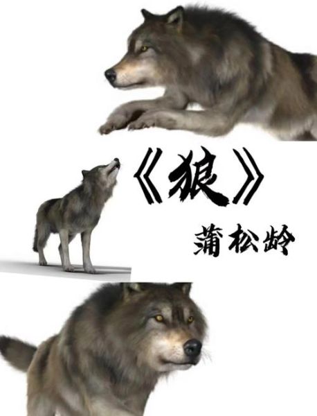 狼的凶猛特征有哪些_如何描写狼的野性