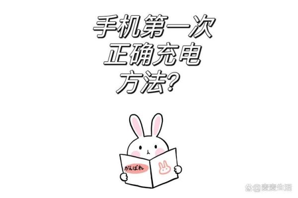 新手机第一次充电多久_新手机充电注意事项