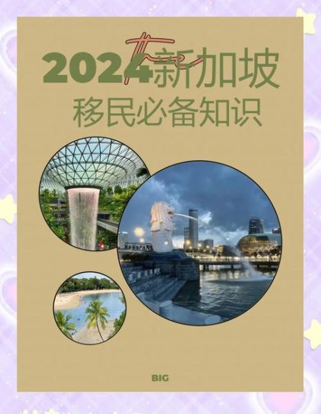 移民新加坡需要什么条件_新加坡移民条件2024最新