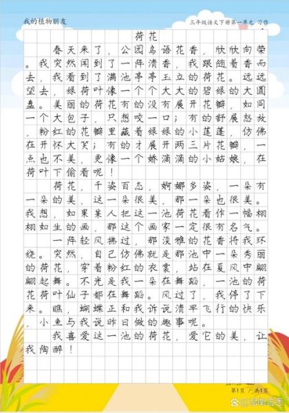 荷花abb的词语有哪些_如何运用在作文里