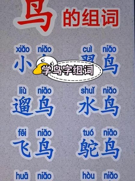 鸟儿的网络词语有哪些_如何正确使用