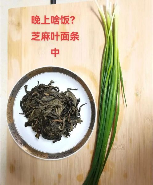 芝麻叶面条怎么做_芝麻叶面条的家常做法