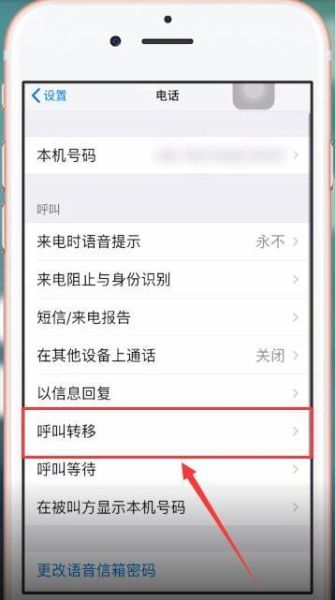 苹果手机打不出去也打不进来_怎么解决