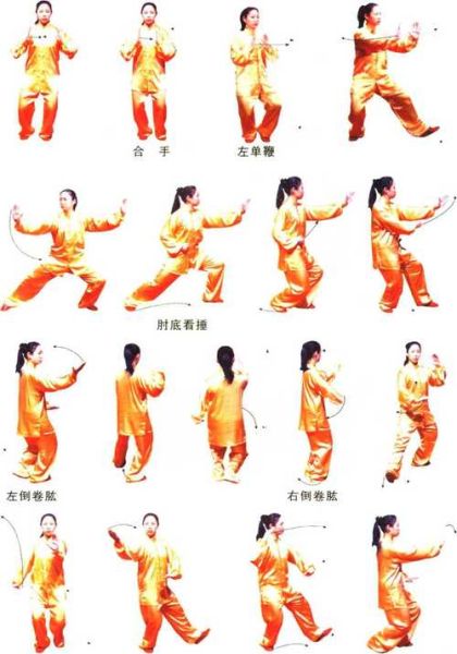 96式做法详解图片_96式动作要领图解