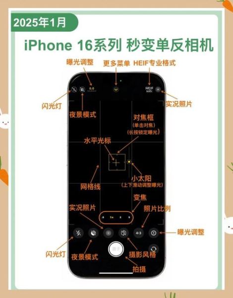 苹果手机分辨率是多少_如何查看iPhone屏幕参数