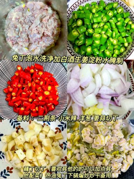 兔肉怎么做好吃_家常兔肉做法大全
