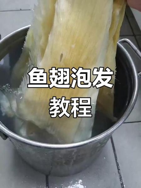 干鱼翅怎么泡发_干鱼翅的家常做法