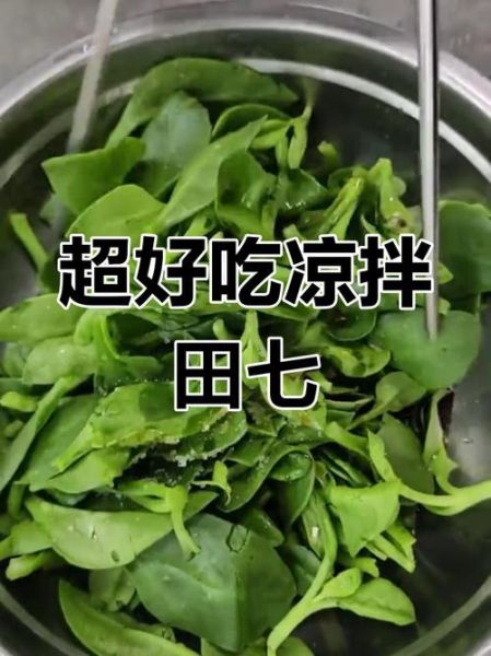 凉拌田七菜怎么做_田七菜凉拌前要不要焯水