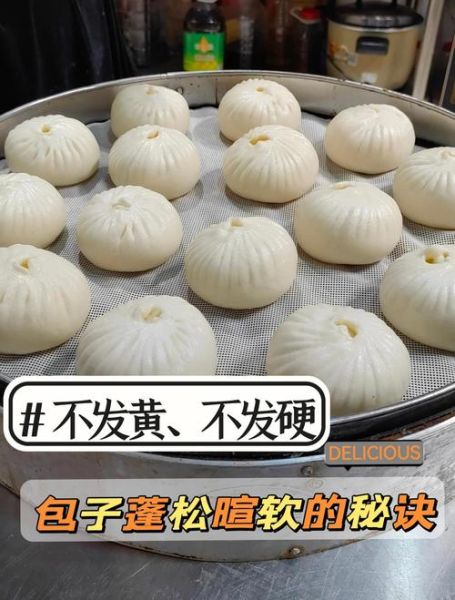 包子怎么做才松软_包子配方比例是多少