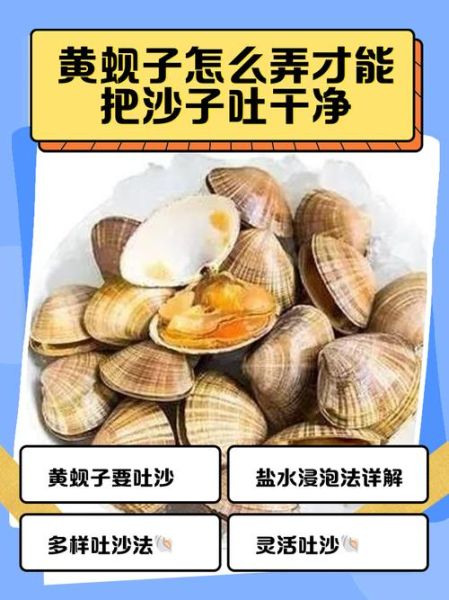 黄蚬子怎么吐沙_黄蚬子清蒸几分钟