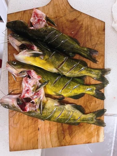 黄丫头炖豆腐怎么做_黄丫头炖豆腐的家常做法