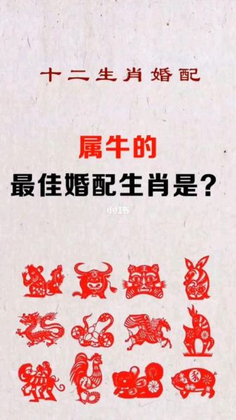 属牛男和什么属相最配_属牛男婚配最佳属相