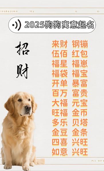 男狗狗取什么名字带财运_带财气的公狗名字推荐