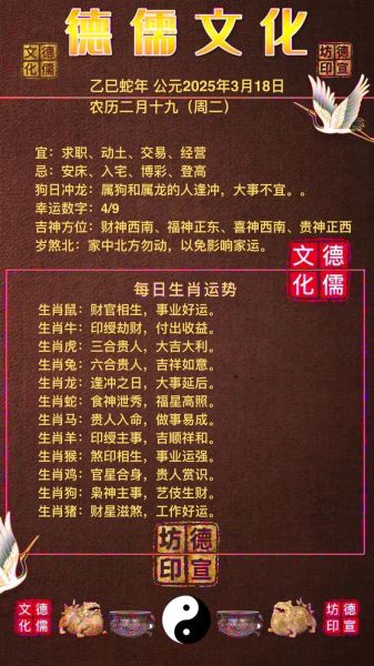 金爱伦2024运势_如何提升财运