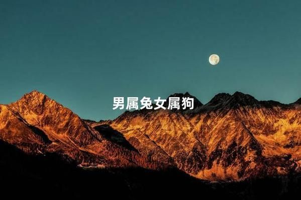 男兔女狗财运好不好_男兔女狗婚姻财运如何