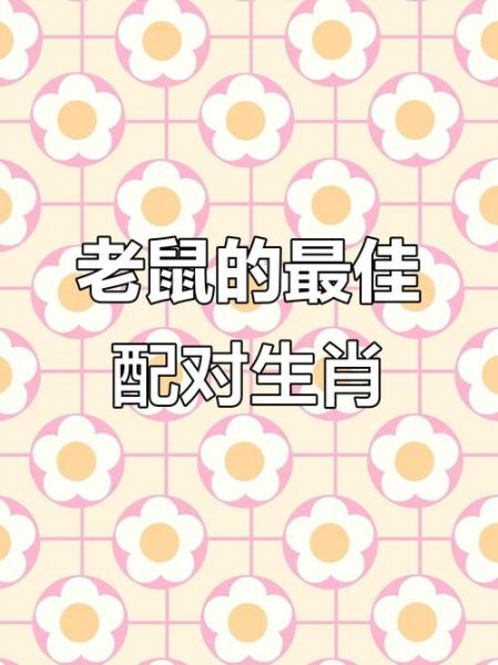 鼠和什么属相最合_鼠与哪些生肖最配