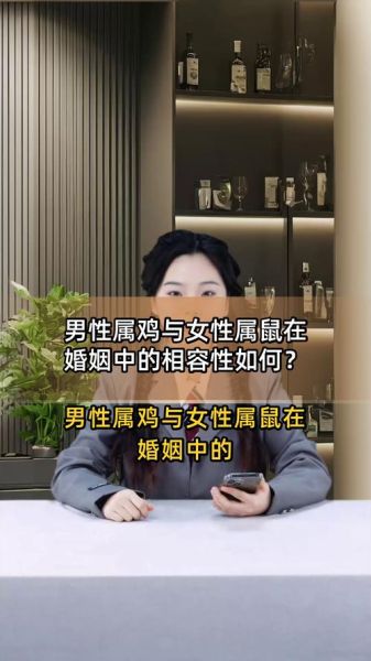 老鼠和鸡属相合不合_属鼠属鸡婚配好吗