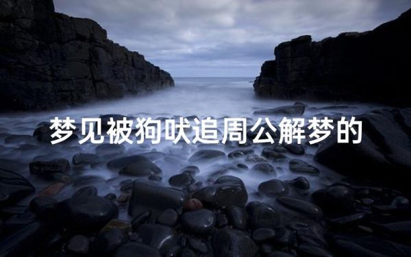梦到撞了狗_梦见撞狗是什么预兆