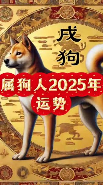狗肖今日财运如何_属狗今日偏财运势查询