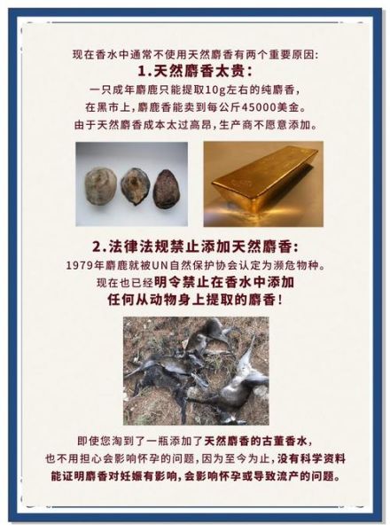 麝香真的能招财吗_麝香摆放位置与禁忌