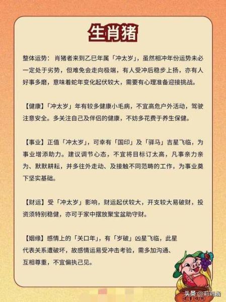猪年运势如何_属猪人2025年注意事项