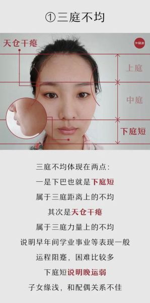 短下巴面相财运_短下巴的人如何招财