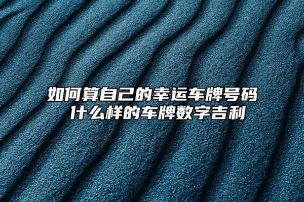 车牌号怎么看属相_车牌号与属相怎么选