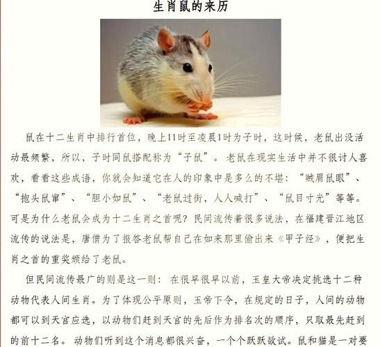 十二生肖的起源_为什么鼠排第一