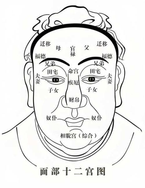 面部财运图解大全_怎么看面相招财