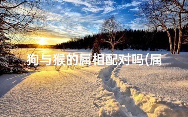 狗女猴男属相相配吗_婚姻幸福指数