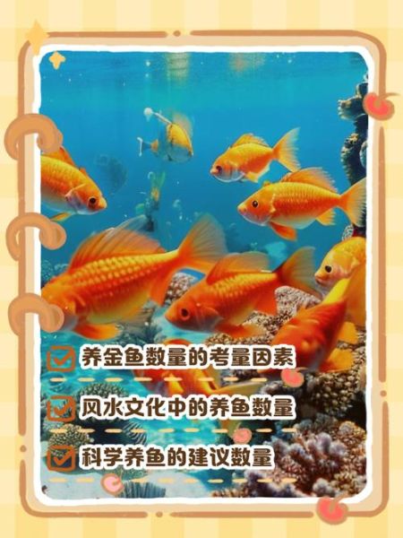财运金鱼养几条最旺财_财运金鱼颜色怎么选