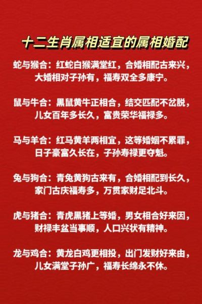 男猴女狗财运合不合_属猴男和属狗女婚后财富走向