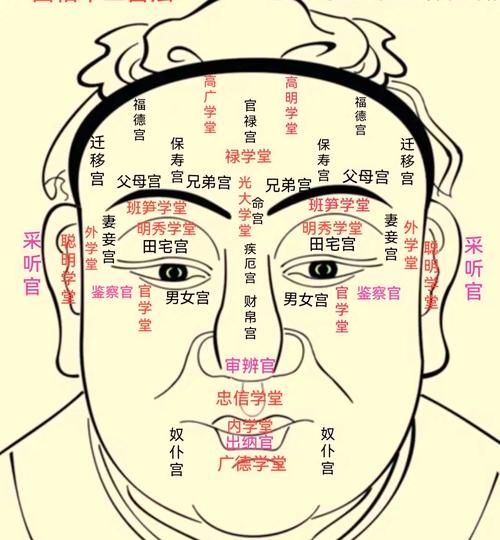 脑门大财运真的好吗_面相学可信吗