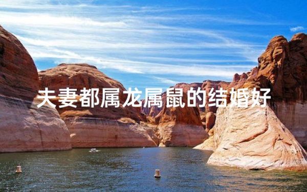 属鼠和属龙的人合不合_属鼠与属龙婚姻配对好吗