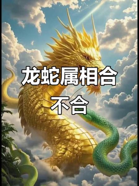 龙和什么属相最配_龙与哪些生肖最合得来