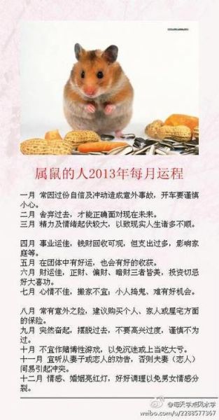 属鼠明天运势如何_属鼠明日财运旺不旺
