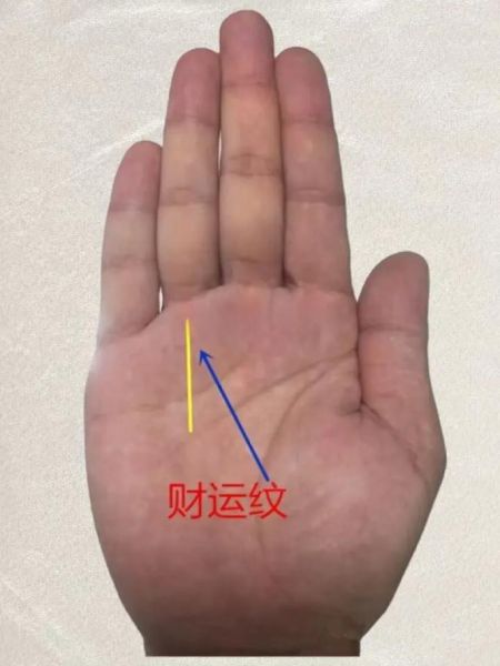 女人财运手纹有哪些_手相看财富线准吗