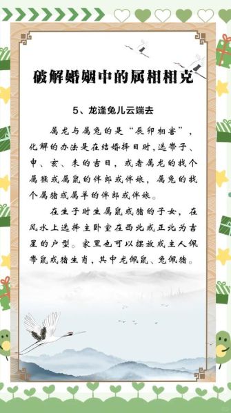 龙兔属相婚配好吗_龙兔相冲如何化解