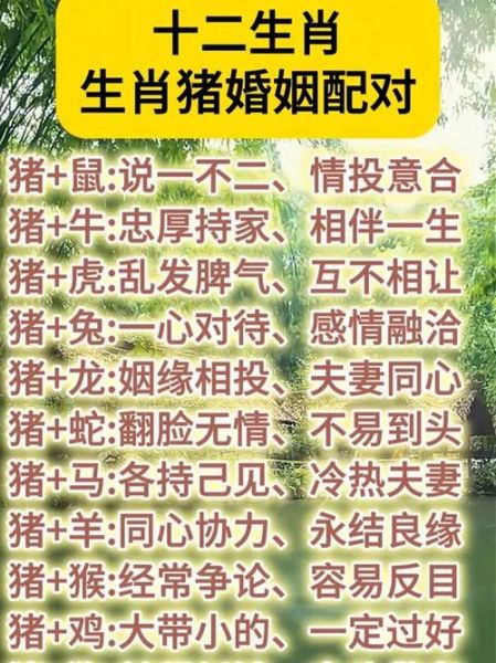 猪属相和什么属相合作_猪属相最佳事业搭档