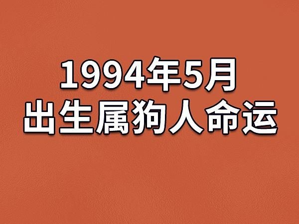 熊属相的人性格特点_熊年出生运势如何
