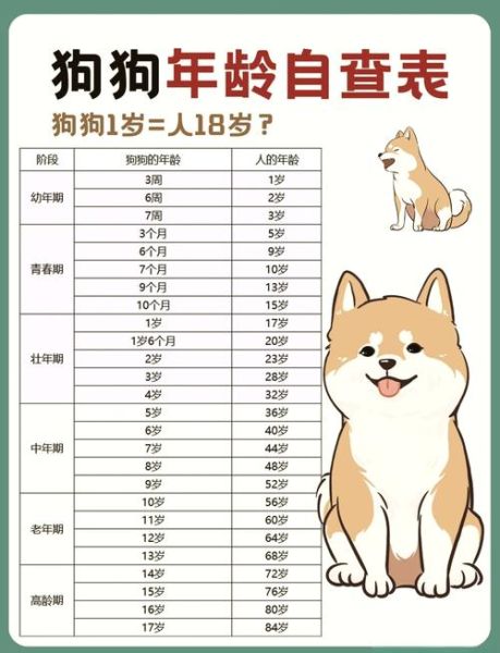 狗属相多大岁数_2024年属狗的年龄对照表