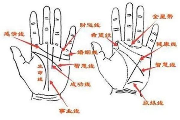 财运从哪里看_手相面相还是八字
