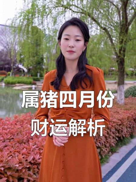 猪年属猪人的运势如何_2024年财运感情事业全解析