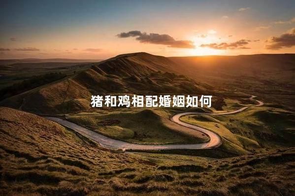 属鸡和属猪的婚姻合适吗_属相鸡与猪配对优缺点