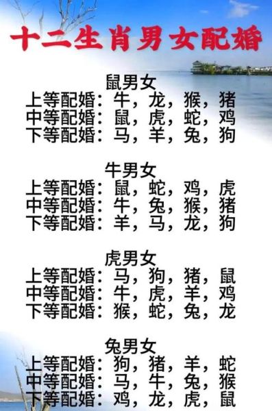 男鼠配什么属相最好_属鼠男最佳婚配